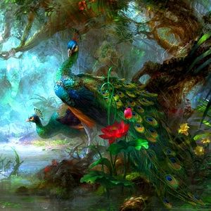 Meet your Posher, Jenifet